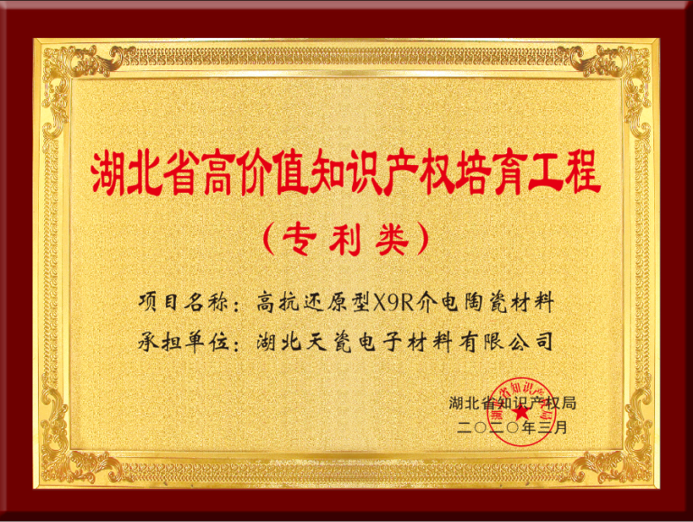 07湖北省高价值知识产权培育工程（专利类）.png